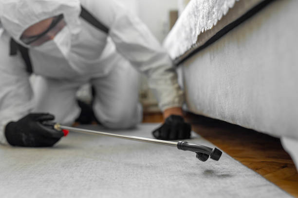 Professional Bed Bug Control technician working in Evangeline Parish County, LA